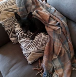 Meet your Posher, Darlene